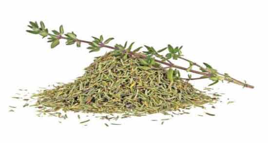 آویشن + زخم معده ؛ تاثیر خوردن آویشن برای درمان زخم معده