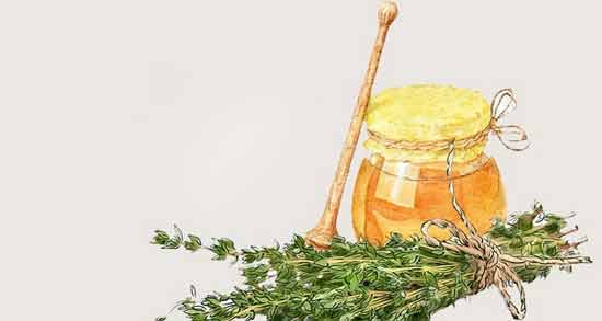 آویشن و عسل برای پریودی و خاصیت خوردن آویشن و عسل برای کاهش دردهای پریودی آویشن و عسل برای پریودی ؛ خاصیت خوردن آویشن و عسل برای کاهش دردهای پریودی