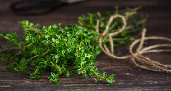 آویشن و فشار خون را بالا میبرد؟ ؛ تاثیر خوردن آویشن برای فشار خون
