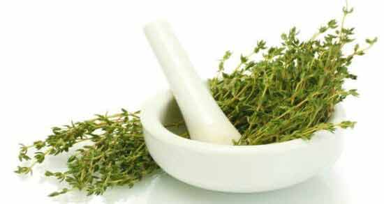 آویشن چه جور گیاهی است ؛ آشنایی کامل با گیاه آویشن و خواص آن