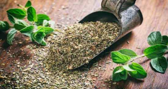 آویشن چیست و چه خاصیتی دارد ؛ آشنایی کامل با آویشن و خواص آن