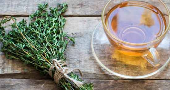 آیا دمنوش آویشن چاق کننده است ؛ تاثیر خوردن دمنوش آویشن برای افزایش وزن
