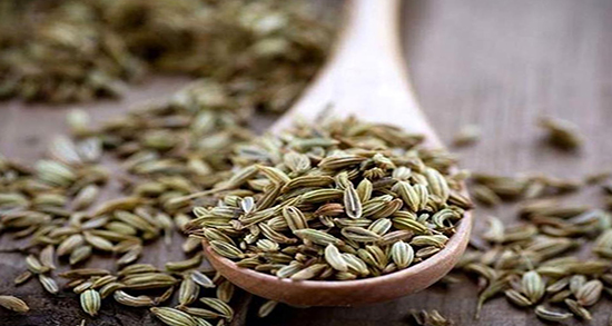 آیا رازیانه باعث خونریزی میشود ؛ چرا در پریودی دمنوش رازیانه را نباید خورد