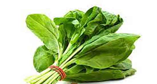 آیا نگهداری اسفناج در فریزر مضر است ؛ عوارض استفاده از اسفناج چیست