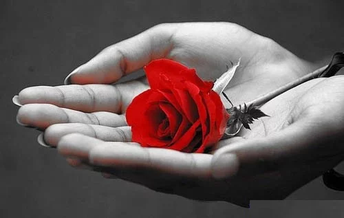 اس ام اس روز عشق + عکس پروفایل روز عشاق و روز عشق