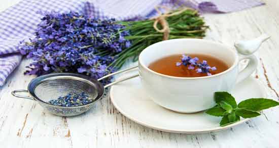 اسطوخودوس و افتیمون نی نی سایت و آشنایی با خاصیت درمانی خوردن اسطوخودوس و افتیمون اسطوخودوس و افتیمون نی نی سایت ؛ آشنایی با خاصیت درمانی خوردن اسطوخودوس و افتیمون