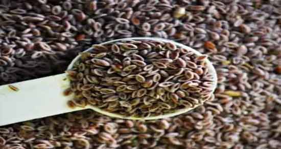 اسفرزه برای یبوست نی نی سایت ؛ خاصیت خوردن برای درمان یبوست