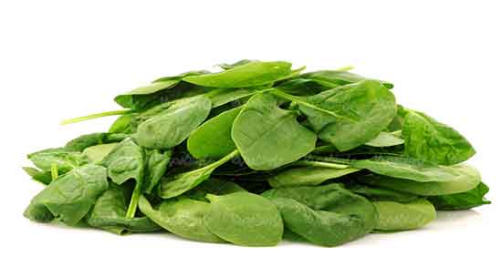 اسفناج را چگونه بپزیم ؛ نحوه پختن اسفناج به روش سنتی چگونه است