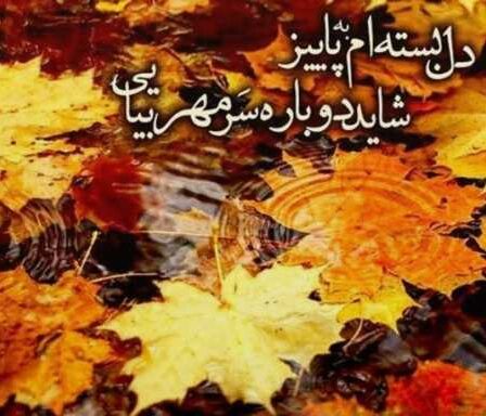 اشعار در مورد پاییز + مجموعه شعر احساسی و عاشقانه از شاعران بزرگ موضوع فصل پاییز
