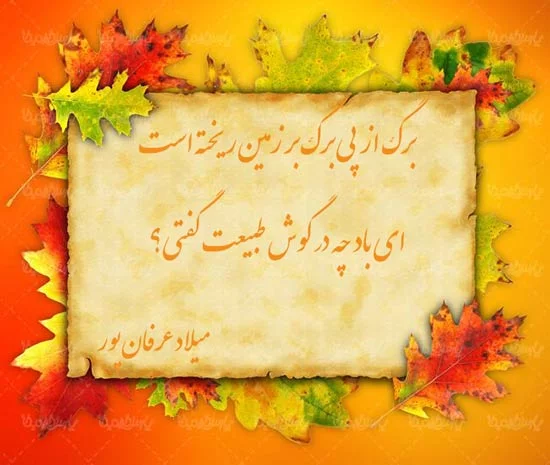 اشعار در مورد پاییز + مجموعه شعر احساسی و عاشقانه از شاعران بزرگ موضوع فصل پاییز