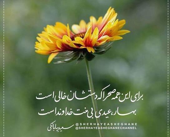 اشعار سعید بیابانکی (گزیده و گلچین اشعار سعید بیابانکی)