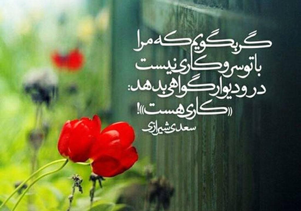 اشعار شاد عاشقانه (زیباترین شعار کوتاه و بلند شاد احساسی و عاشقانه برای یار و همسر)