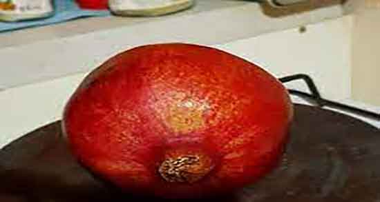 انار پخته برای سرماخوردگی نی نی سایت ؛ فواید مصرف انار پخته شده چیه