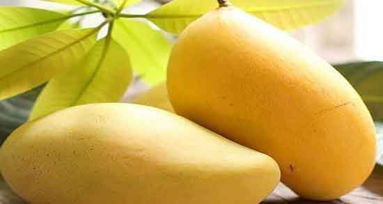 انبه از چند ماهگی نی نی سایت ؛ انبه را از چند ماهگی میتوان به کودکان داد