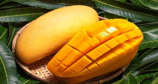 انبه را چجوری بخوریم ؛ روش صحیح استفاده از انبه