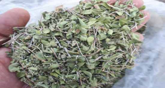 انواع آویشن و خواص آنها ؛ همه چیز درباره آویشن و خواصی که دارد