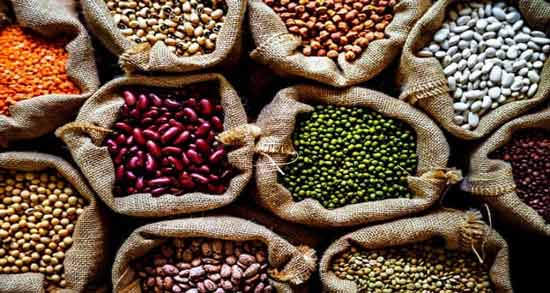 انواع حبوبات را نام ببرید ؛ معرفی کامل انواع مختلف حبوبات