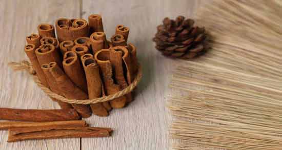 انواع چوب دارچین ؛ آشنایی با انواع مختلف چوب دارچین