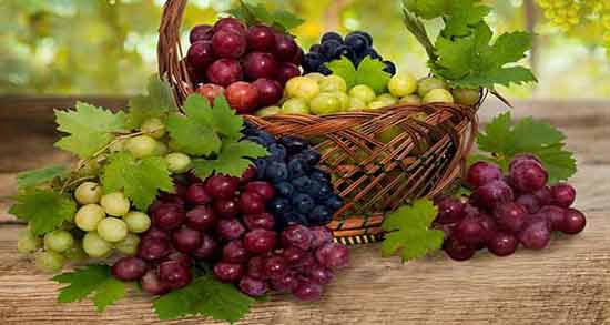 انگور برای سرفه ضرر دارد ؛ مضرات خوردن انگور برای سرفه