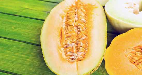 اگر خربزه با عسل خوردیم چه میشود ؛ بررسی مضرات خوردن خربزه با عسل برای بدن