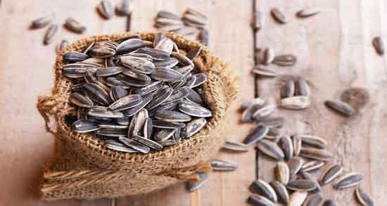 ایا تخمه برای دیابت مضر است ؛ بررسی مضرات خوردن تخمه برای دیابت