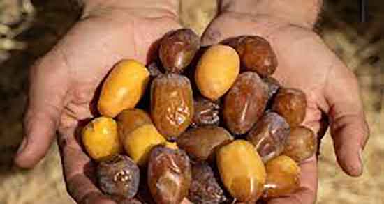 ایا خرما باعث سقط جنین میشود نی نی سایت ؛ عوارض خرما برای زنان باردار