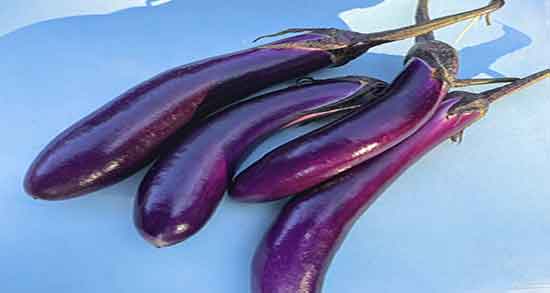 بادمجان خشک شده نی نی سایت ؛ خاصیت مصرف بادمجان خشک شده