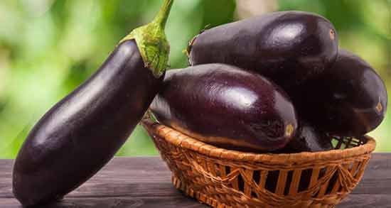 بادمجان میوه بهشتی ؛ همه چیز درباره بادمجان