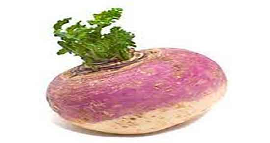 بهترین زمان مصرف شلغم ؛ چه زمانی برای مصرف شلغم پخته شده مناسبه