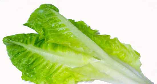 بهترین زمان مصرف عرق کاهو ؛ چه زمانی عرق کاهو بخوریم؟