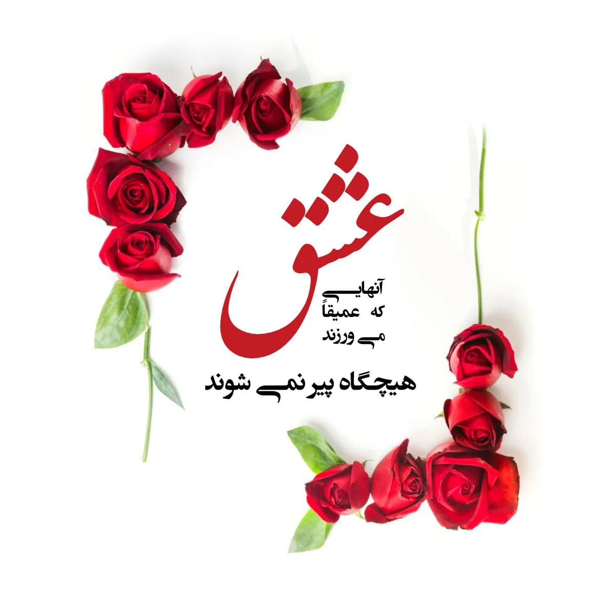 بهترین متن عاشقانه برای عشقم با کمیاب ترین و خاص ترین جملات برای شوهر و خانم