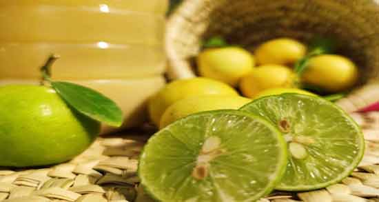 بهترین محل نگهداری آبلیمو ؛ در چه مکانی آبلیمو را نگهداری کنیم؟