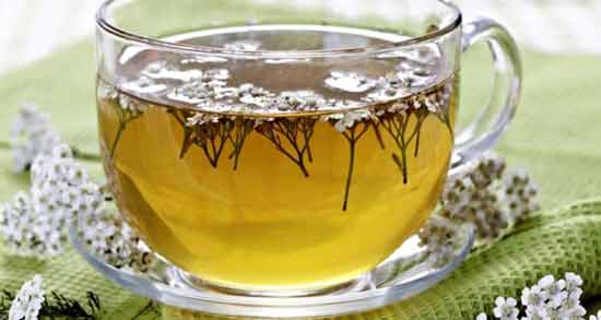 بومادران برای عفونت قارچی واژن ؛ فواید مصرف بومادران برای درمان عفونت قارچی واژن