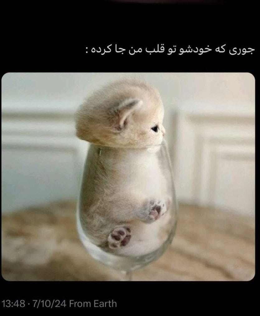 بیو مخصوص اینستا؛ 100 متن با ارزش و با معنی سنگین بیوگرافی Instagram