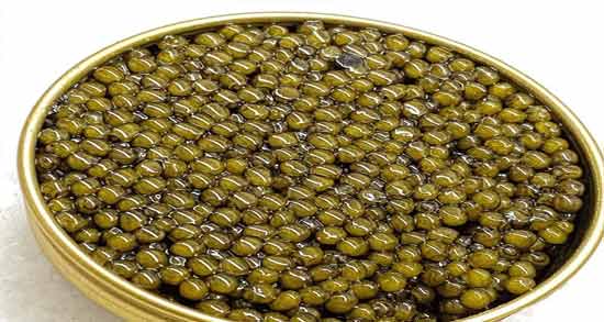 تاثیر خاویار بر تخمک گذاری ؛ خواص و مضرات خاویار برای تخمک گذاری