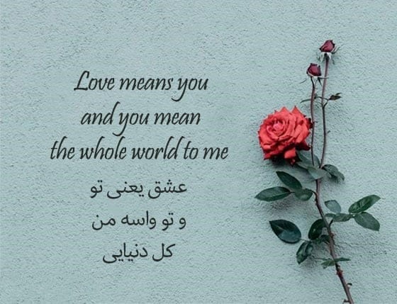 تاثیرگذارترین جملات ناب عاشقانه انگلیسی (مجموعه متن های عاشقانه انگلیسی با ترجمه فارسی)