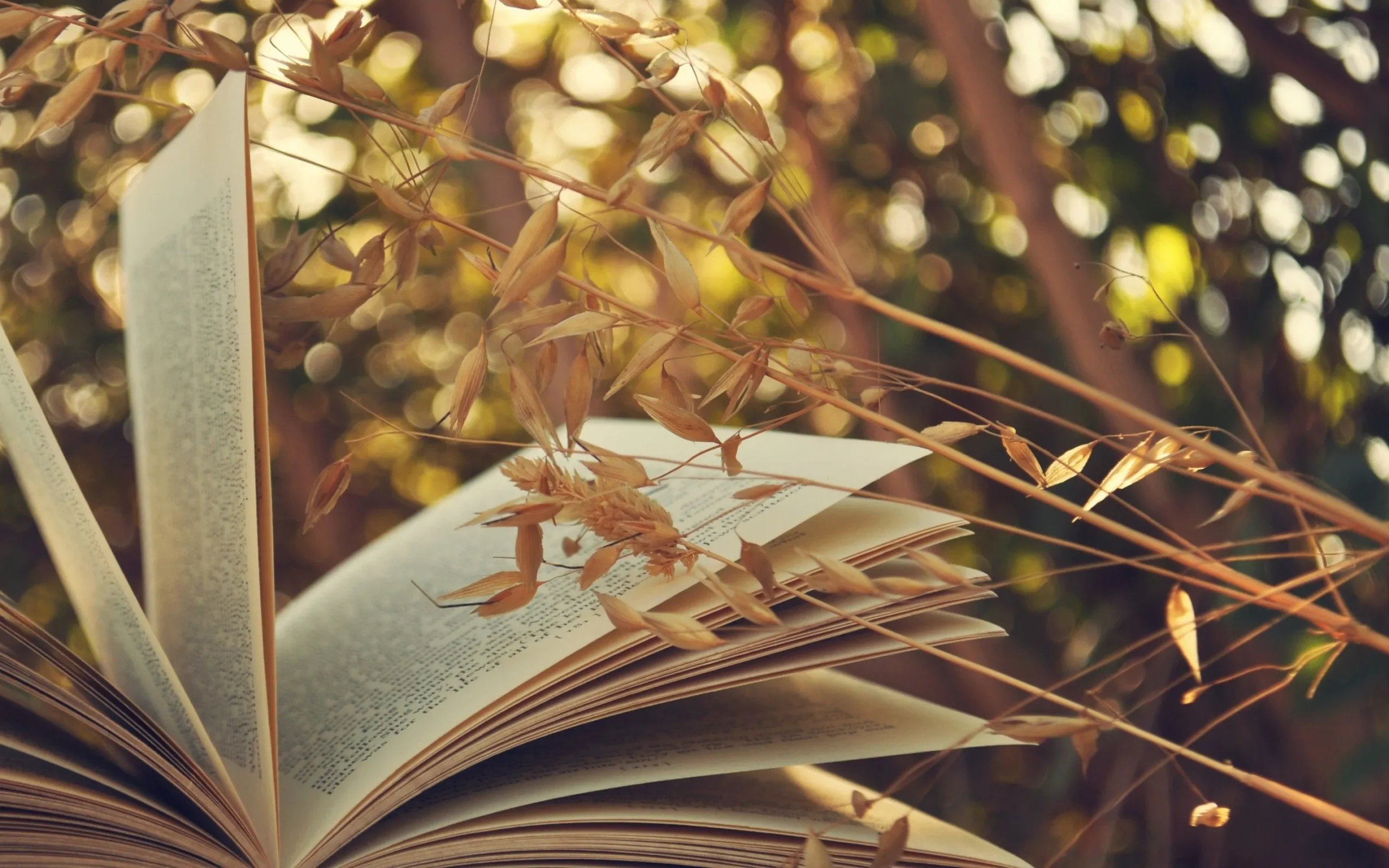 تبریک روز کتاب و کتابخوانی ۱۴۰۳؛ جملات و عکس نوشته درباره کتاب تبریک روز کتاب و کتابخوانی ۱۴۰۳؛ جملات و عکس نوشته درباره کتاب