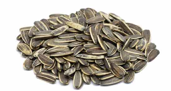 تخمه در رژیم کتوژنیک ؛ آیا می توان در رژیم کتوژنیک تخمه خورد؟