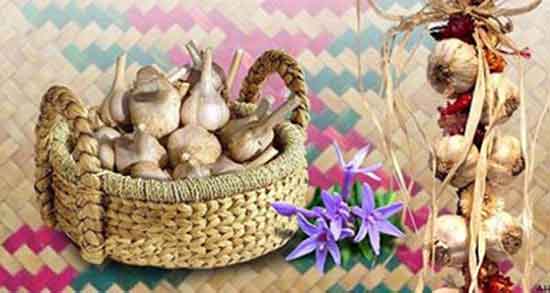 تداخل سیر با داروهای فشار خون و چرا نباید سیر را با داروهای فشار خون خورد تداخل سیر با داروهای فشار خون ؛ چرا نباید سیر را با داروهای فشار خون خورد