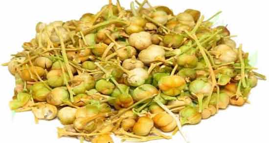 تعبیر خواب اسپند خام ، معنی اسپند خام در خواب های ما چیست تعبیر خواب اسپند خام ، معنی اسپند خام در خواب های ما چیست