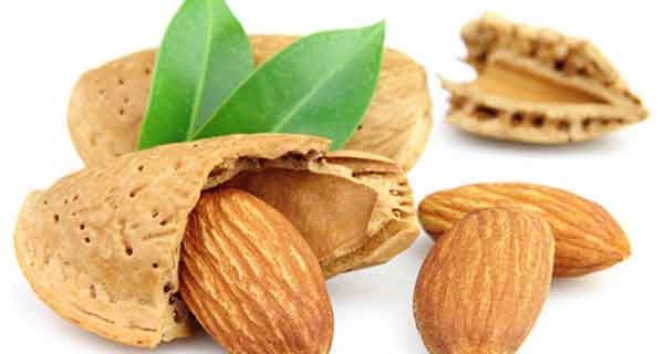 تعبیر خواب بادام امام صادق کندن از درخت برای زن باردار 
