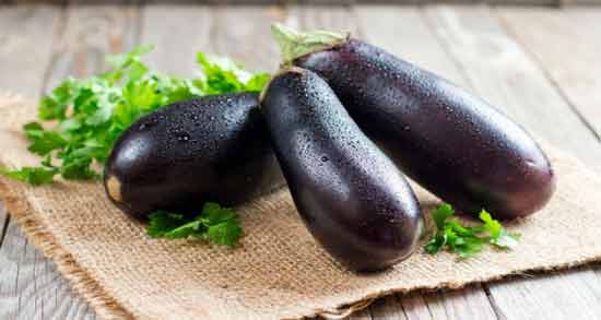 تعبیر خواب بادمجان روی بوته ، معنی بادمجان روی بوته در خواب های ما چیست
