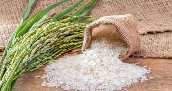 تعبیر خواب برنج امام صادق معنی برنج در خواب های ما از نظر امام صادق چیست