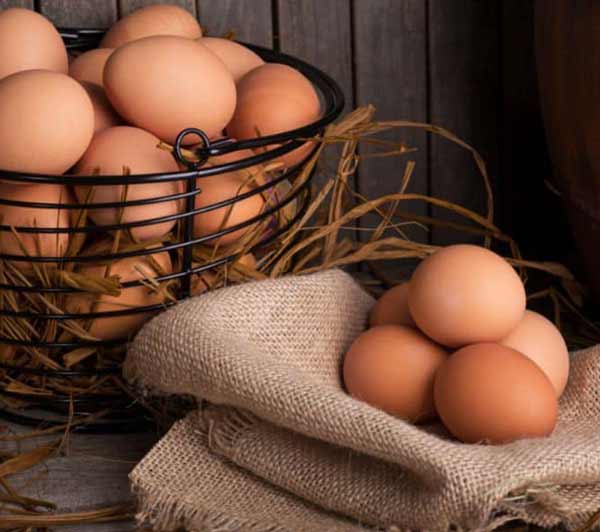 تعبیر خواب تخم مرغ محلی + معنی تخم مرغ محلی از نظر امام صادق چیست