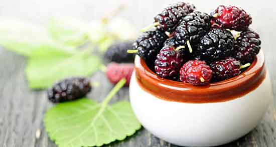 تعبیر خواب توت امام صادق معنی توت در خواب های ما از نظر امام صادق چیست