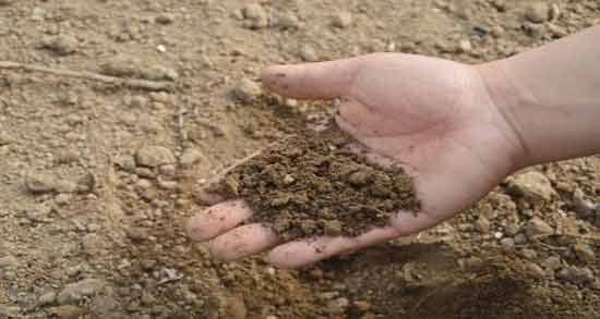 تعبیر خواب خاک ابن سیرین معنی خاک در خواب های ما از نظر ابن سیرین چیست