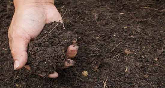 تعبیر خواب خاک ریختن روی زنده معنی خاک ریختن روی زنده در خواب های ما چیست