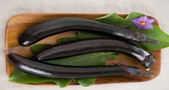 تعبیر خواب خریدن بادمجان سیاه ، معنی خریدن بادمجان سیاه در خواب های ما چیست تعبیر خواب خریدن بادمجان سیاه ، معنی خریدن بادمجان سیاه در خواب های ما چیست