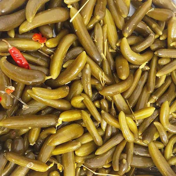 تعبیر خواب خیارشور امام صادق + معنی خیارشور از نظر امام صادق در خواب چیست