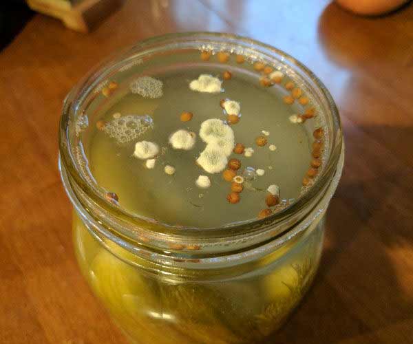 تعبیر خواب خیارشور خراب + معنی خیارشور خراب در خواب چیست تعبیر خواب خیارشور خراب + معنی خیارشور خراب در خواب چیست